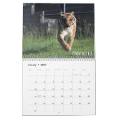 2019年のCedarhillの動物の聖域のカレンダー カレンダー (1月 2027)