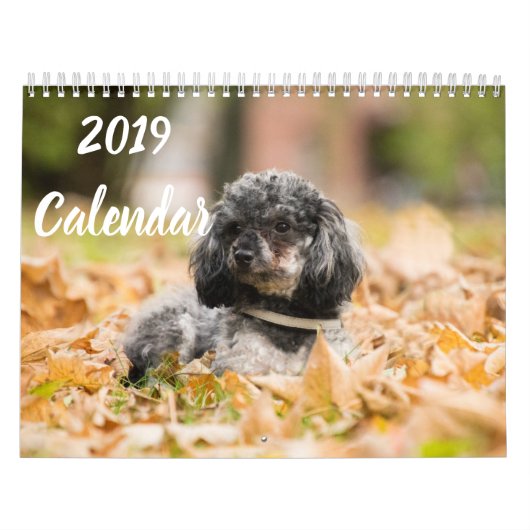 2019年カレンダーかわいいプードル犬の画像 カレンダー (カバー)