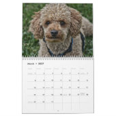 2019年予定表、かわいいプードル犬の画像 カレンダー (3月 2027)