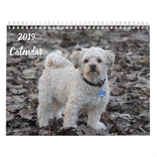 2019年予定表、かわいいプードル犬の画像 カレンダー (カバー)