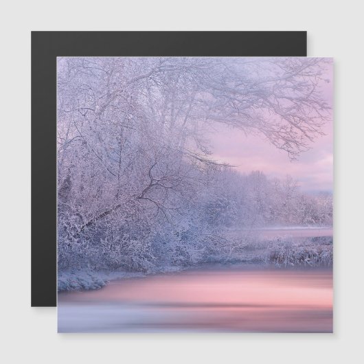 2019年01月冬 (正面/裏面)