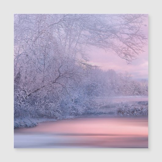 2019年01月冬 (正面)