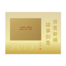 2019年 豚の中国の新年 家族写真 7x5