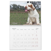 2019年Erinveineのカレンダー- Clumberスパニエル犬の カレンダー (3月 2026)