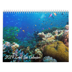 2019珊瑚海のカレンダー カレンダー