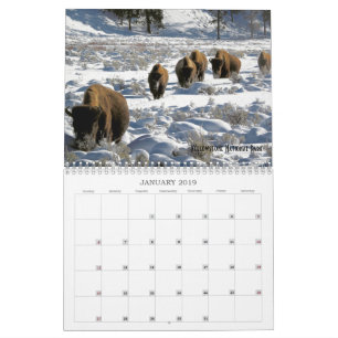 2019米国公共土地野生動物暦 カレンダー