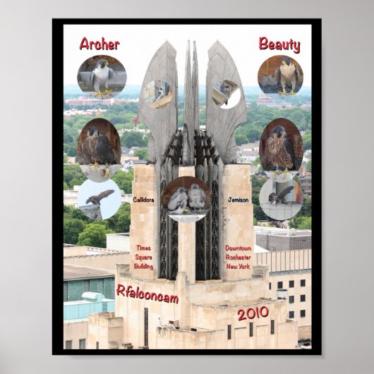 2019美しいとArcher 8x10 Poster at Times Square ポスター (正面)