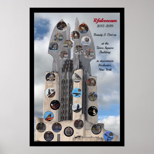 2019美しいとDot.ca 13x19 Poster at Time Square ポスター (正面)