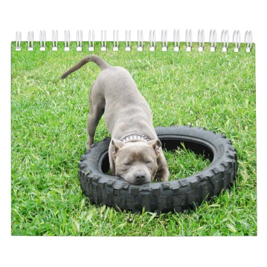 2019違う年の犬 カレンダー (カバー)