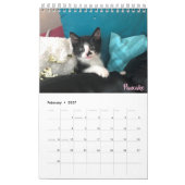 2019養育関係の子ネコのカレンダー カレンダー (2月 2027)