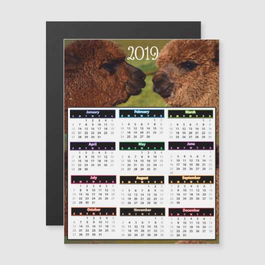2019 Funny Alpacas Mini Calendar マグネット招待状 (正面/裏面)