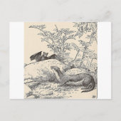 201.こうもりとミンク ポストカード (正面)