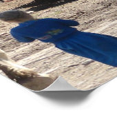 201.アミッシュな女の子とその馬 ポスター (角)