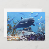 201.イルカと宝箱のはがき ポストカード (正面/裏面)