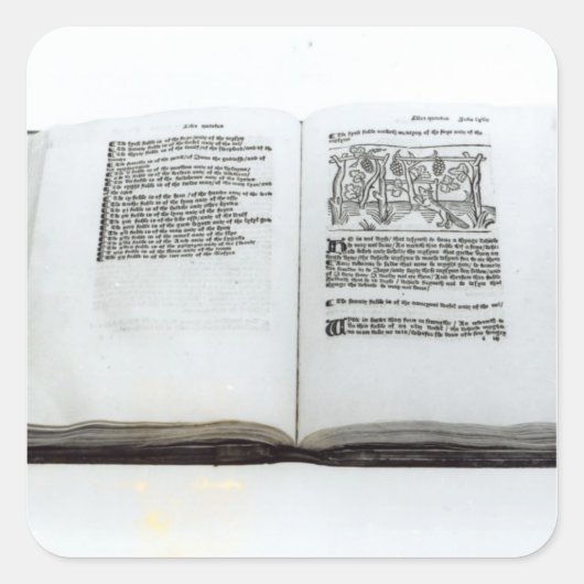 201.キツネと葡萄 スクエアシール (正面)