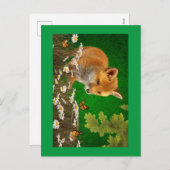 201.キツネと(昆虫)オオカバマダラ、モナーク シーズンポストカード (正面/裏面)