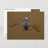 201.クモと火の飛び ポストカード (正面/裏面)