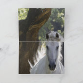 201.ステイリオンと木馬グリーティングカード カード (内部)