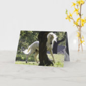 201.ステイリオンと木馬グリーティングカード カード (黄色い花)