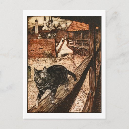 201.ネコとネズミのパートナーシップ ポストカード (正面)