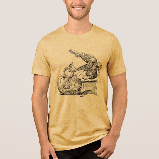 201.ネズミの歯医者とニワトリ トライブレンドTシャツ (正面)