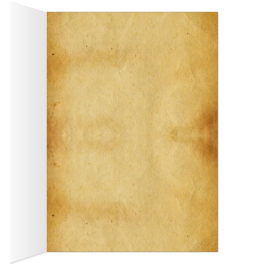 201.ハートと気管支動脈の切除 (内側 (右))