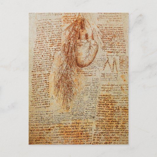 201.ハートと気管支動脈の切除 ポストカード (正面)