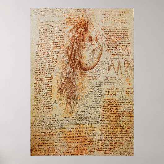 201.ハートと気管支動脈 ポスター (正面)