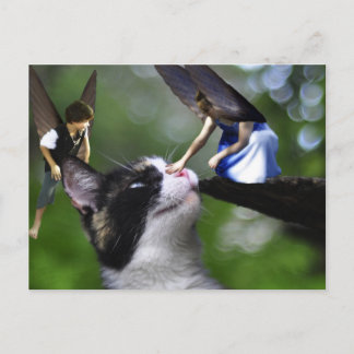 201.フェアネスとキティ・キャットのポストカード ポストカード