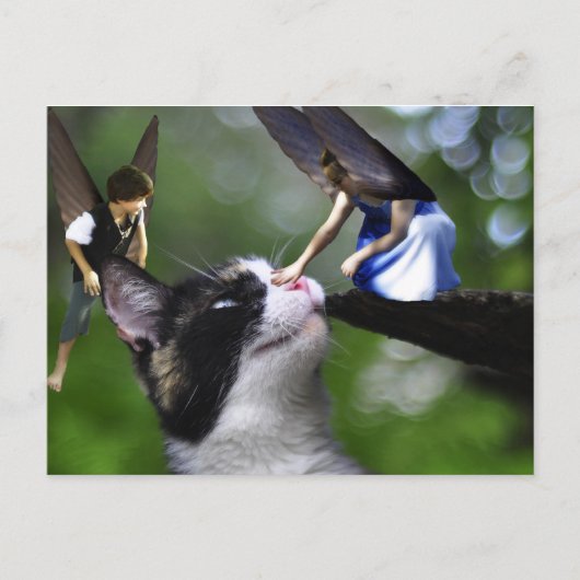 201.フェアネスとキティ・キャットのポストカード ポストカード (正面)