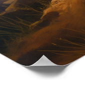 201.ライオンが夕暮れ ポスター (角)