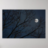 201.ロビンと月 ポスター (正面)