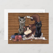 201.作家の猫 ポストカード (正面/裏面)