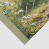 201.子鹿と蝶 薄葉紙 (詳細)