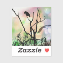 201.孤独なカラス