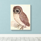 201.小さなフクロウ |アルブレヒト・デュラー キャンバスプリント (インサイチュ (ウッドフロア))