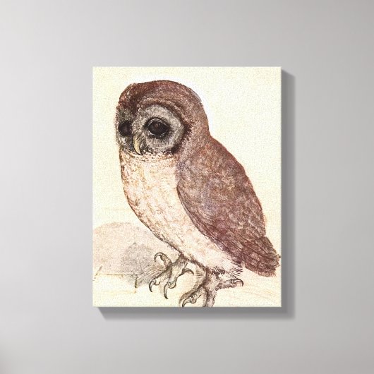 201.小さなフクロウ |アルブレヒト・デュラー キャンバスプリント (正面)
