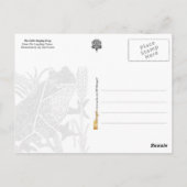 201.小さな歌うカエル ポストカード (裏面)