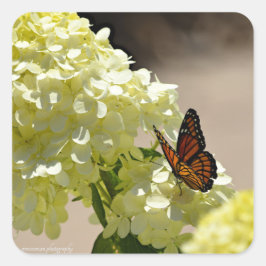 201.（昆虫）オオカバマダラ、モナークと花 スクエアシール