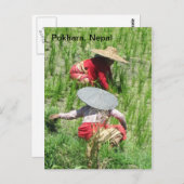 201.田んぼでの作業 ポストカード (正面/裏面)