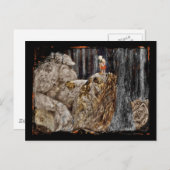 201.石のトロールを持つ子供たち ポストカード (正面/裏面)