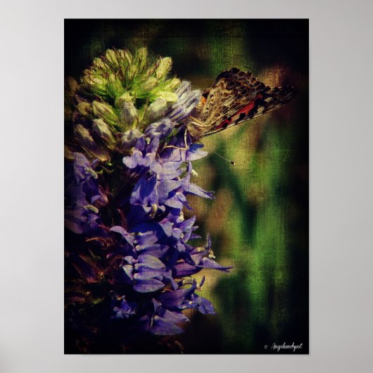 201.蝶と紫の花 ポスター (正面)