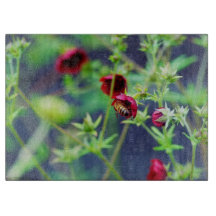 201.赤い花を持つミツバチ