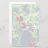 201.赤い花を持つミツバチ 便箋 (正面/裏面)