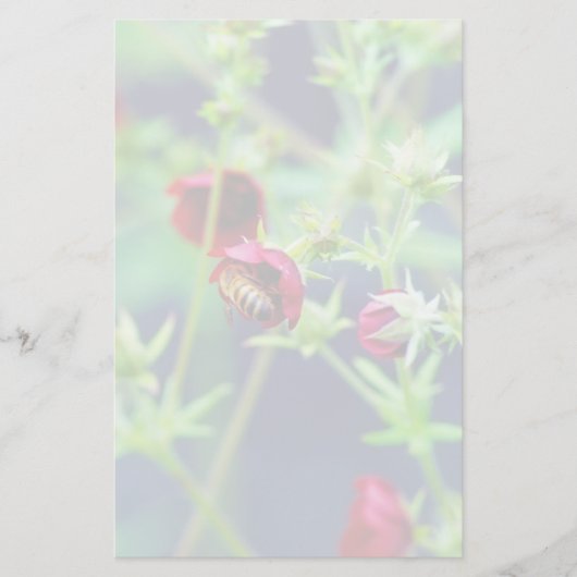 201.赤い花を持つミツバチ 便箋 (正面)