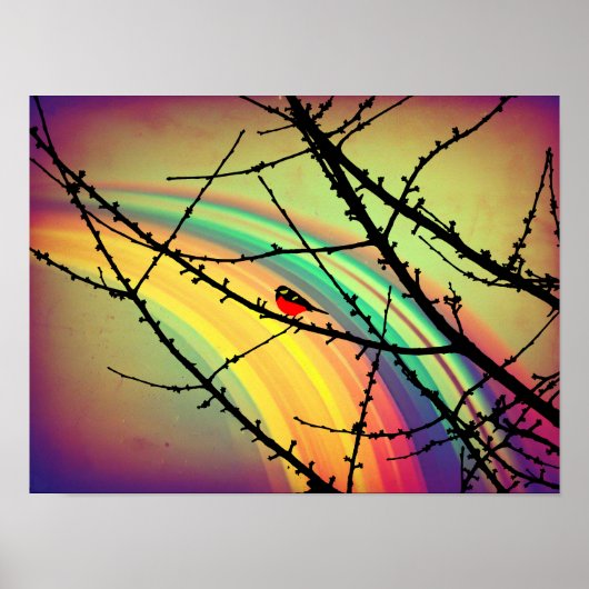 201.鳥と虹 ポスター (正面)