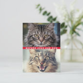 2020おもしろい年の猫の前後どうだ? ポストカード (スタンド正面)