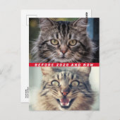 2020おもしろい年の猫の前後どうだ? ポストカード (正面/裏面)