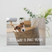 2020は犬の写真からラフの年のクリスマスだった シーズンカード (スタンド正面)