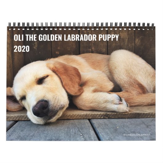 2020オーリザゴールデンラブラドール子犬 カレンダー (カバー)